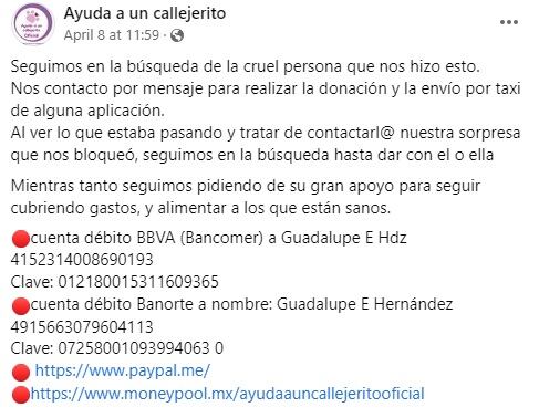 Publicación de refugio para recibir donativos