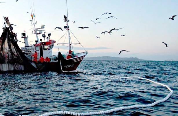 Pesca
