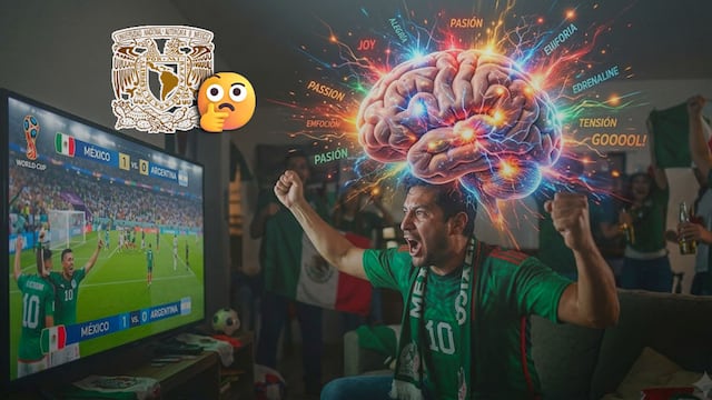 Esto pasa en tu cerebro al ver el Mundial, según la UNAM