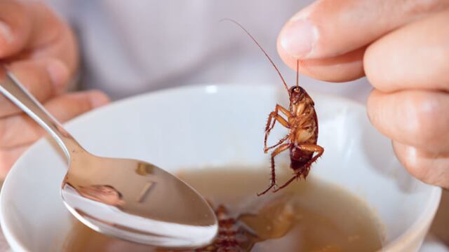 Ex empleada evidencia a restaurante por tener cucarachas