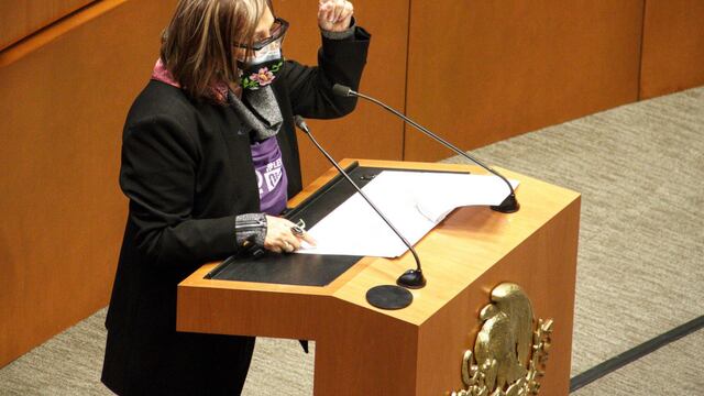 Martha Lucía Micher, senadora de Morena