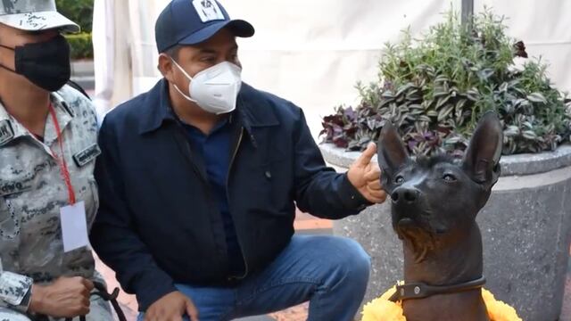 Dante, el xoloitzcuintle de la Guardia Nacional