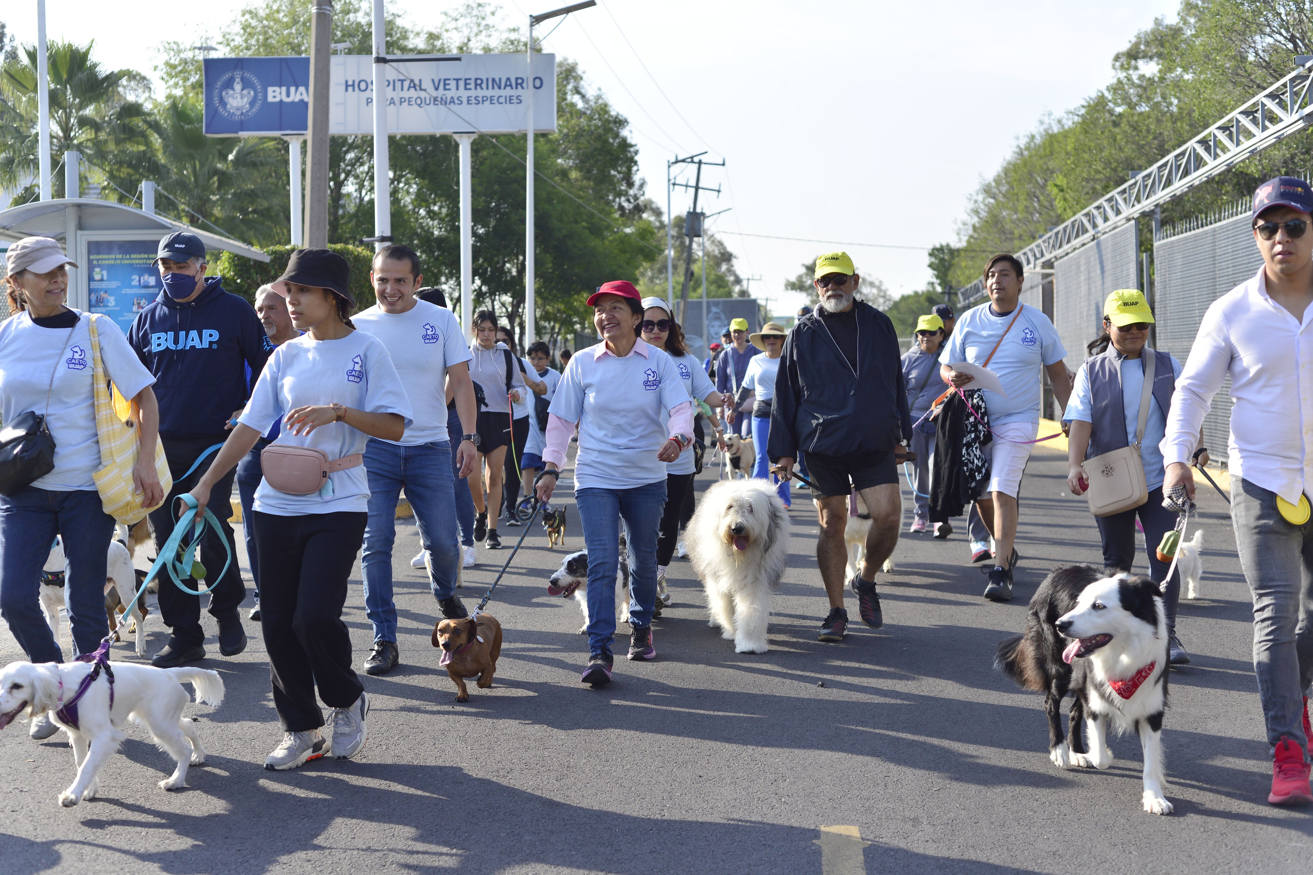 Centro de Apoyo Emocional y Terapia Ocupacional con Animales (CAETO), BUAP, celebra su primer aniversario.