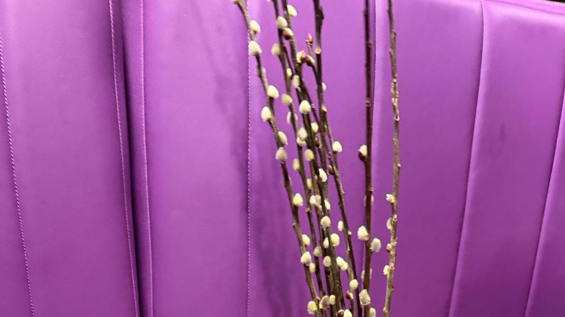 Tradiciones santas, paganas y hermanas