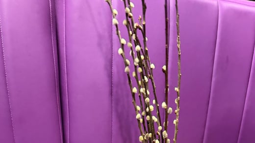 Tradiciones santas, paganas y hermanas