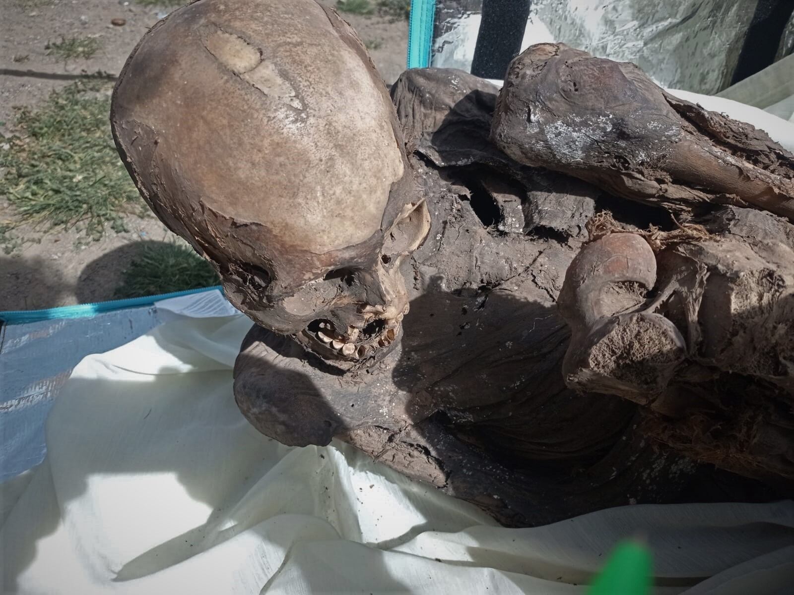 Momia encontrada en mochila de un repartidor