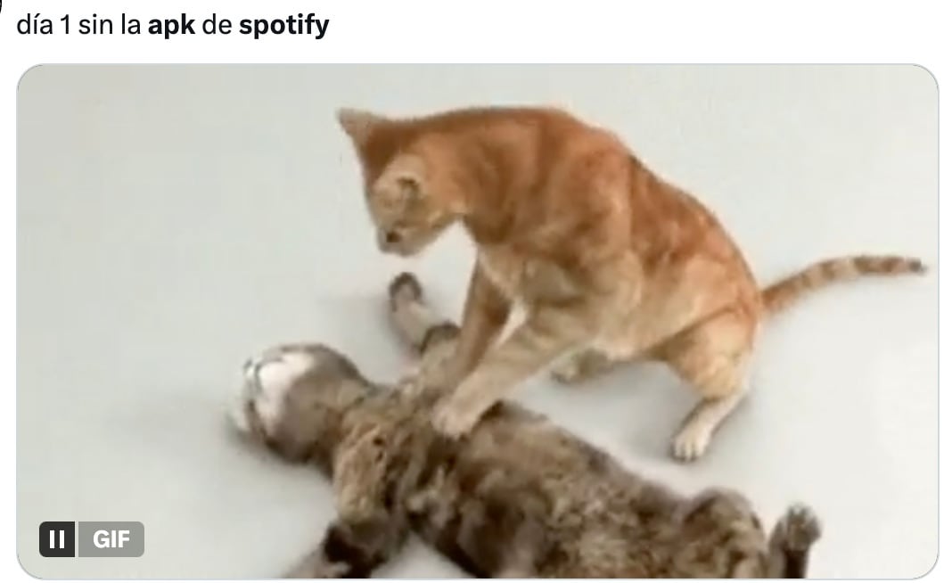 Usarios reaccionan a la caída de Spotify Premium APK con memes
