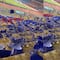 Fans de República Democrática del Congo destruyen su estadio tras heroica remontada de Senegal