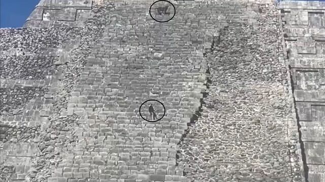 Perritos subiendo la pirámide de Chichén Itzá