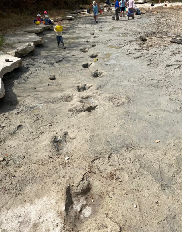 Huellas de dinosaurios en Texas