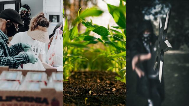 Este 5 de diciembre es el Día de los Voluntarios, el Día del Suelo y el Día del Ninja