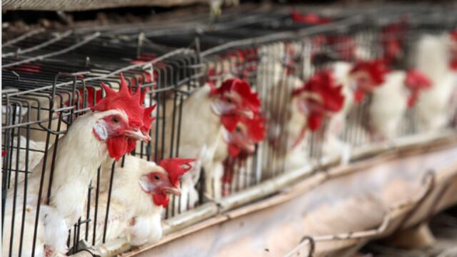 Fernando Carranza / Cuartoscuro