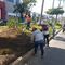 Gobierno de Acapulco intensifica trabajos de limpieza y reforestación de la Costera Miguel Alemán