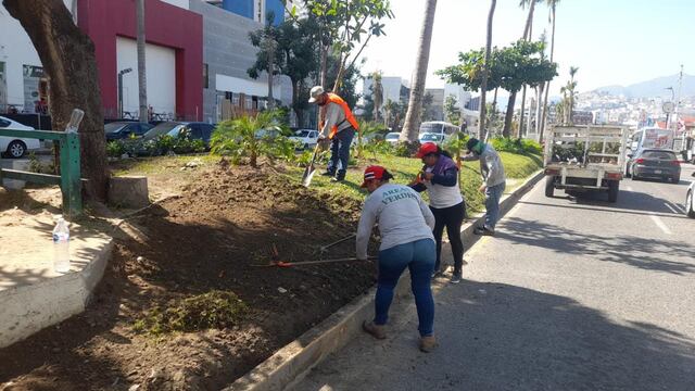 Acapulco intensifica trabajos en Costera Miguel Alemán
