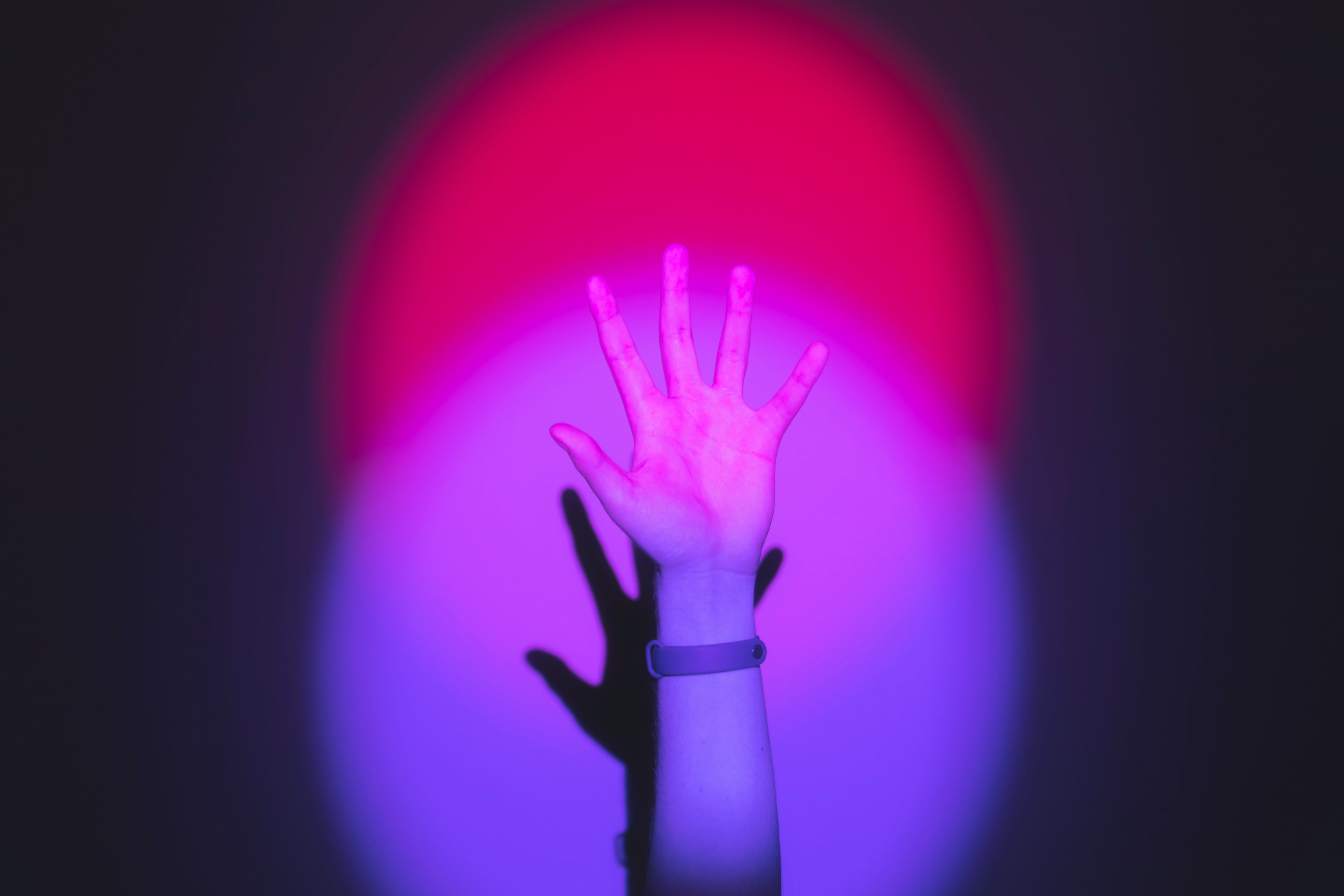 Día de la Bisexualidad