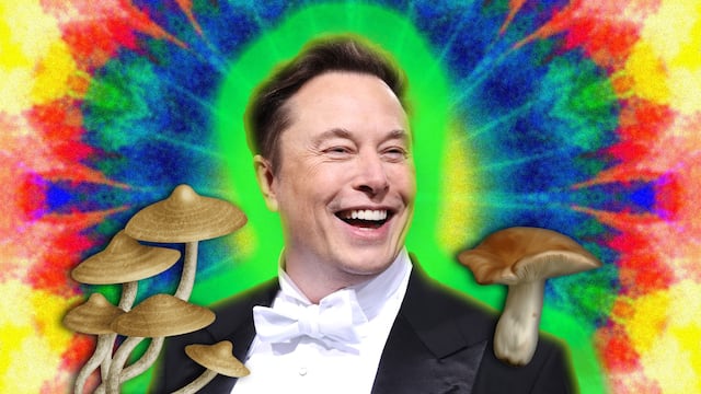 Elon Musk tiene una divertida y barata alternativa al carísimo Vision Pro de Apple