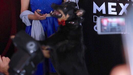 Asiste 'El Borras' a la entrega del Ariel