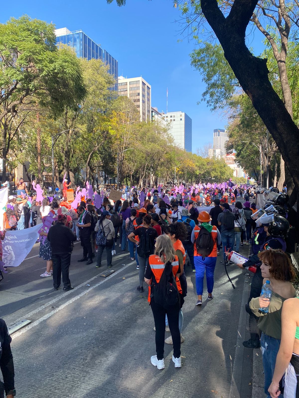 Marcha del 25 de noviembre 2023: Continúan su trayecto sobre Paseo de la Reforma