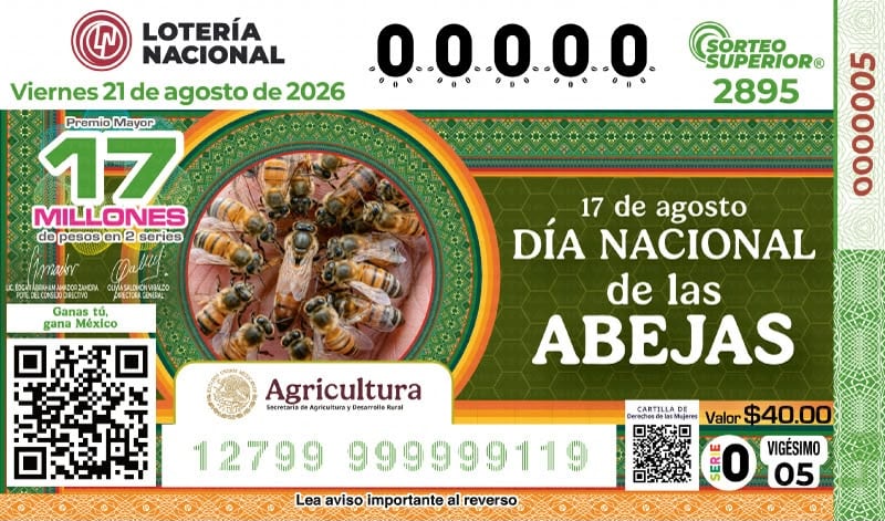 Yucatán celebra el Día Nacional de las Abejas con Lotería Nacional y entrega de insumos.