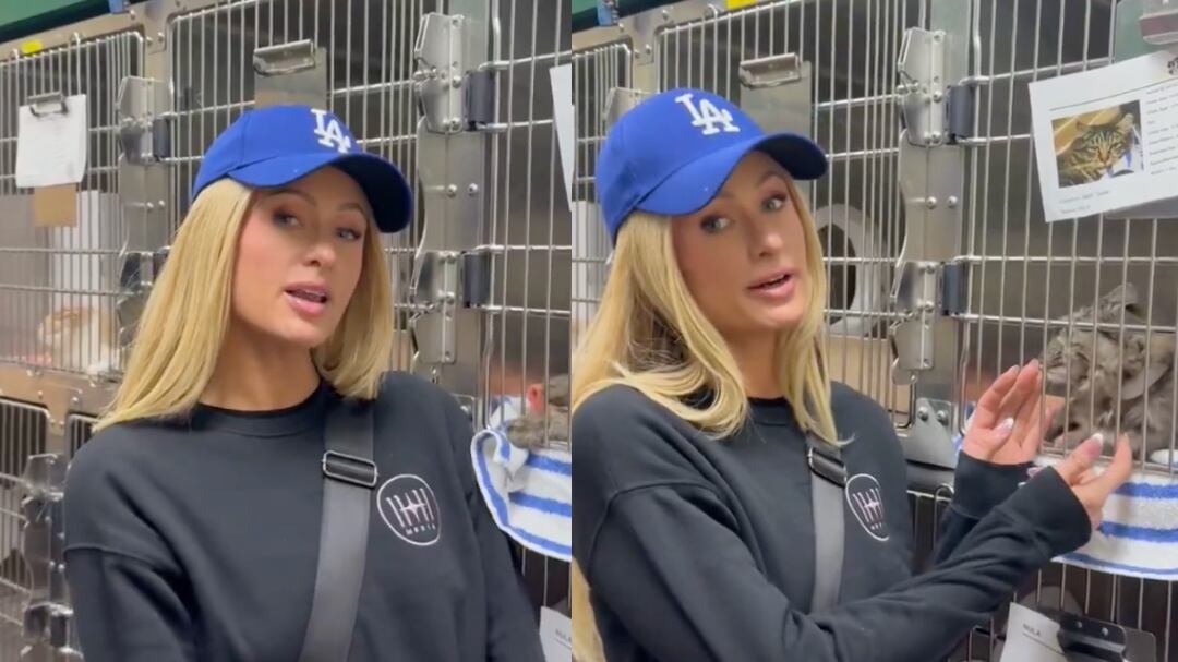 Paris Hilton perdió su casa en incendios de California y ya anda rescatando animales