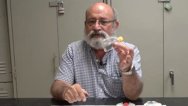 Experto de la UNAM explica por qué no hay plaga de chinches