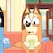 Lo mejor de Chilli y Bandit, papás de Bluey: 30 minutos de capítulos en YouTube y español por el Día Mundial del Perro Callejero