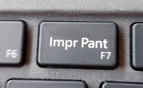 Impr Pant