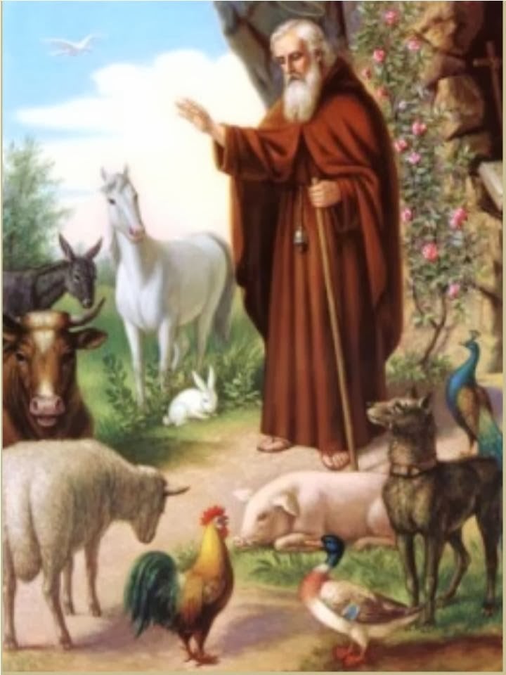 La oración para bendecir a los animales que puedes rezar hoy 17 de enero a San Antonio Abad