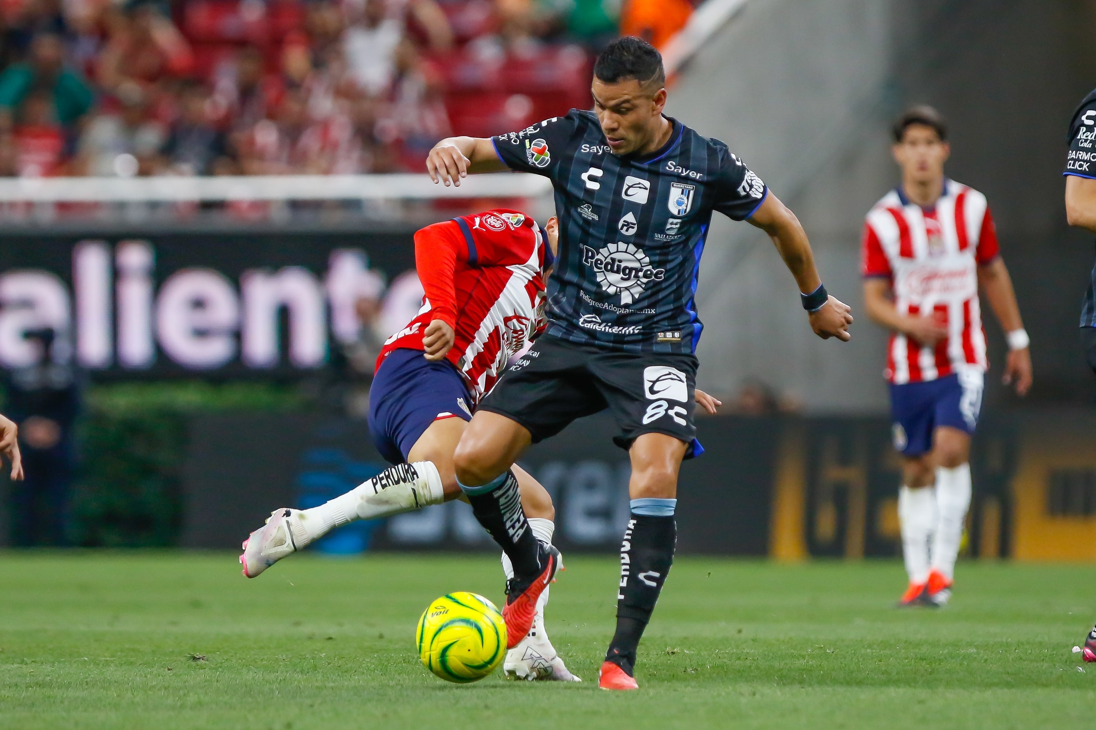 Revientan al Club Querétaro por su nuevo jersey