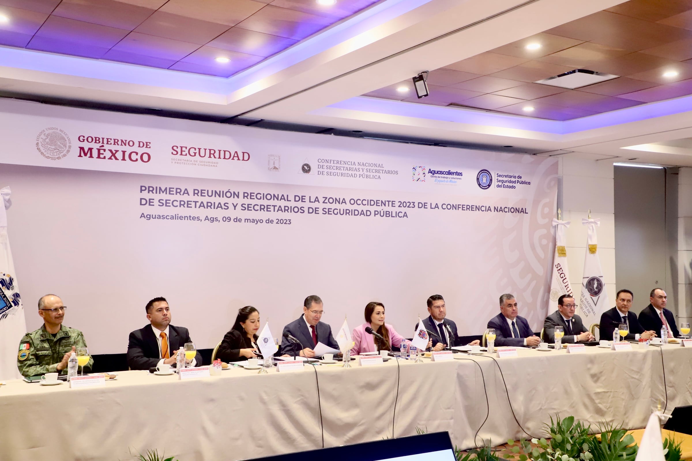 Tere Jiménez en reunión regional de seguridad pública