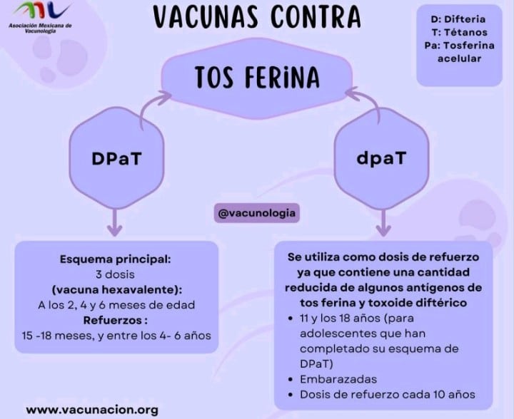 Vacuna contra tosferina