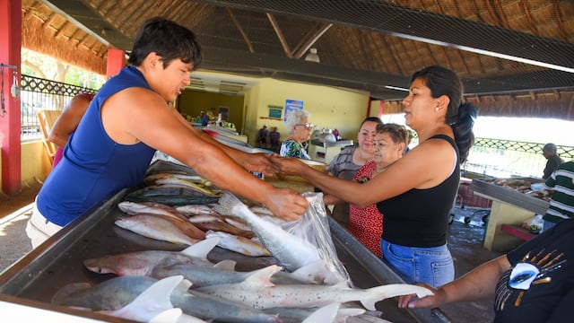 Las actividades primarias son las que más impulsaron la economía mexicana durante el segundo trimestre de 2026.