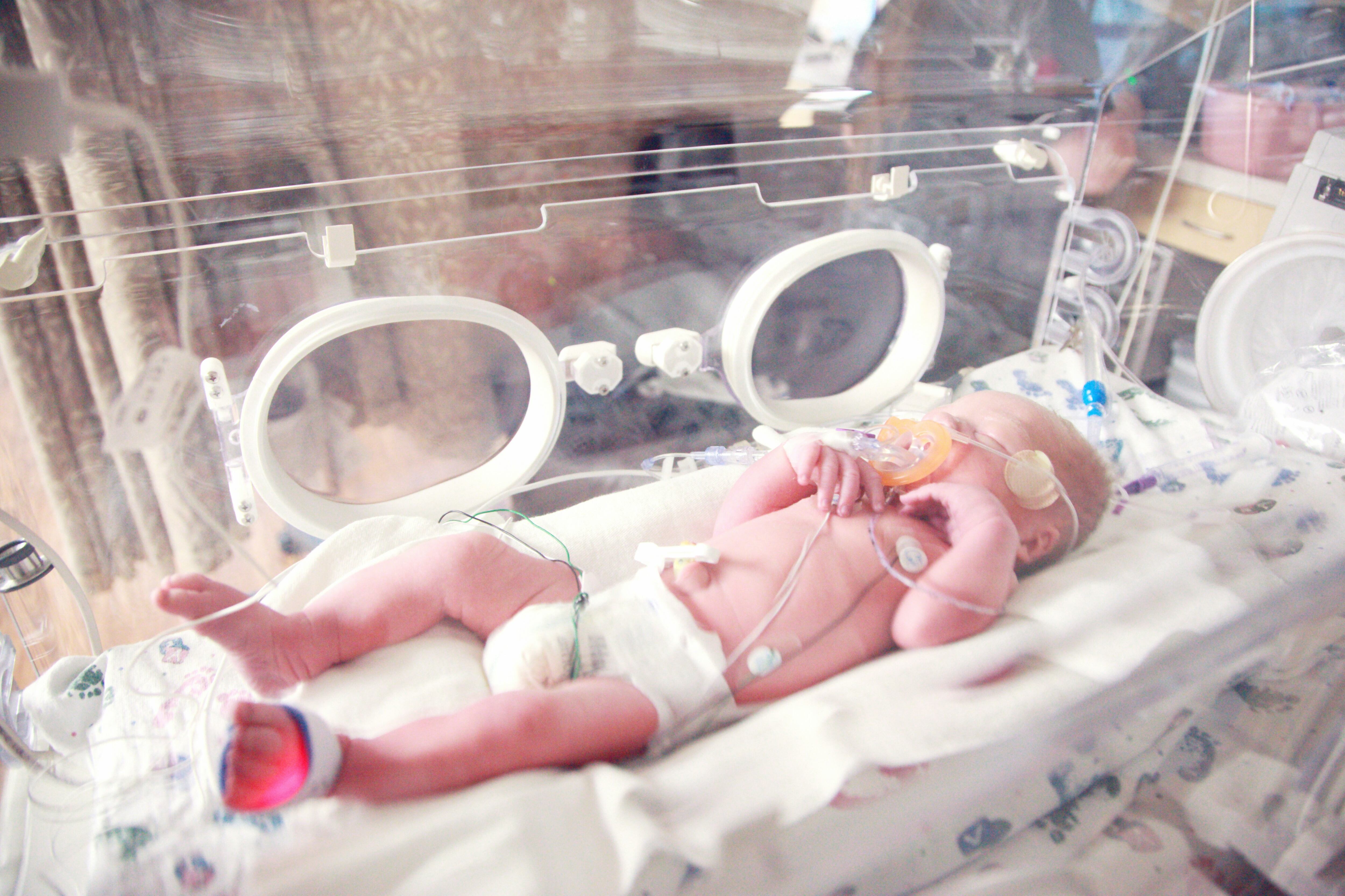 Día Internacional de la Obstetricia