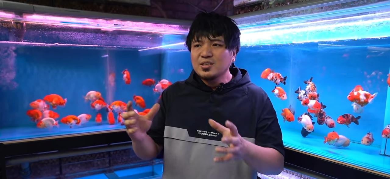 Carriola para peces