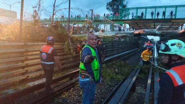 ¿Qué pasa en el Metro CDMX hoy 18 de septiembre? Línea B afectada por caída de árbol y más
