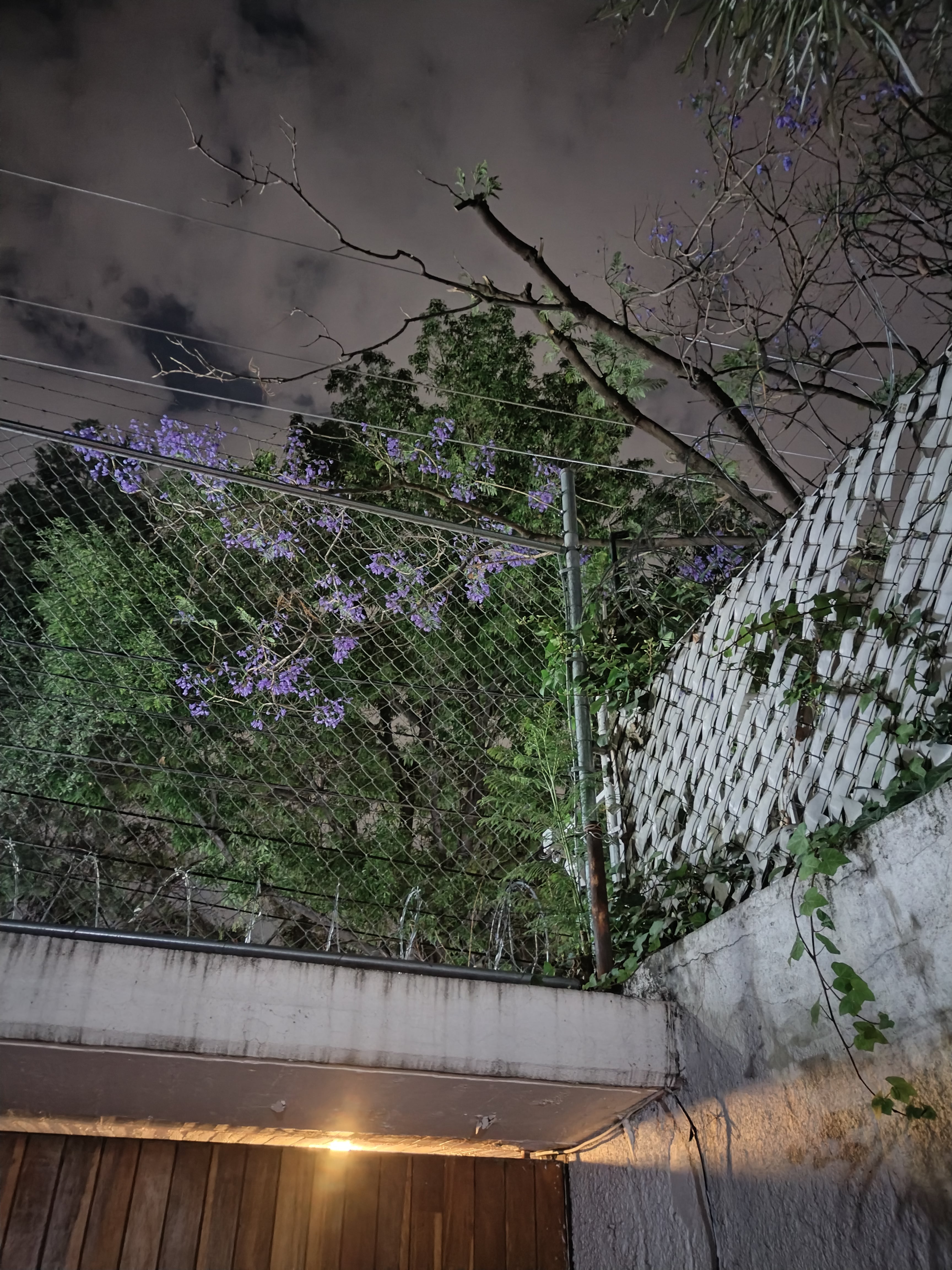 Foto tomada con el Honor Magic5 Lite