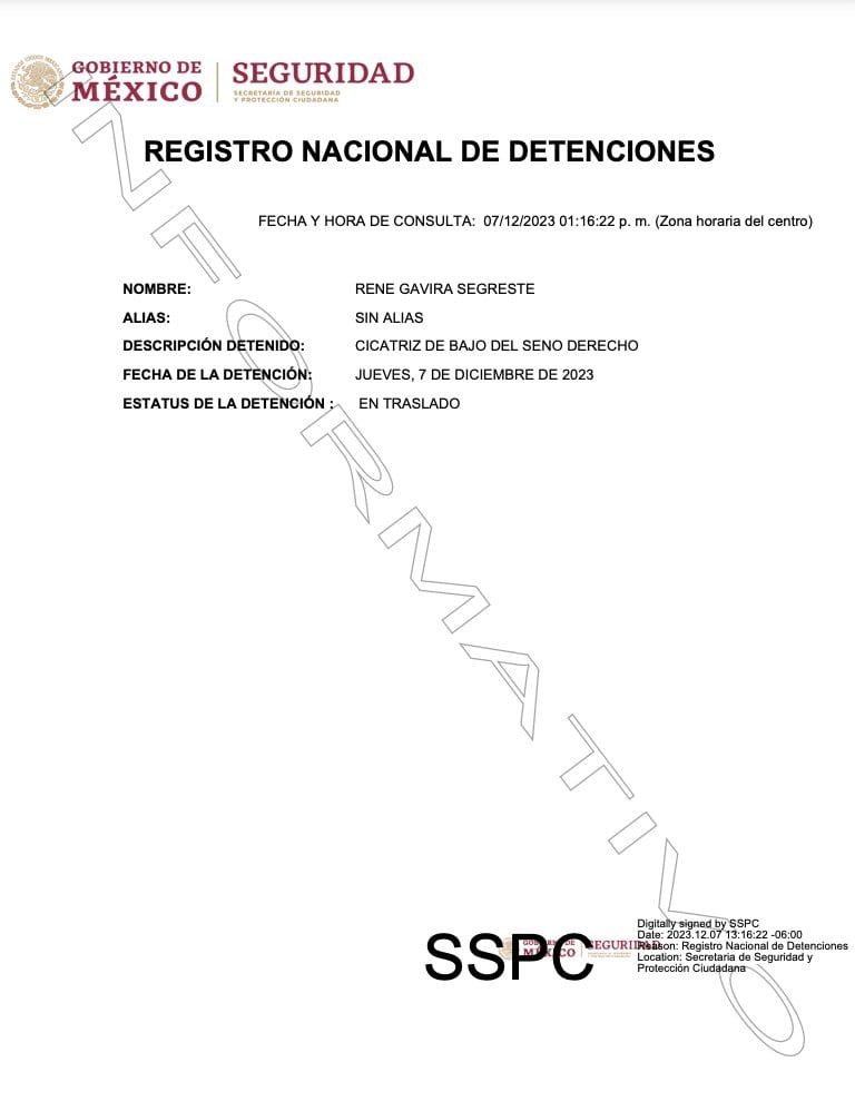 René Gavira Segreste fue detenido