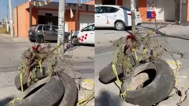 Bache con árbol navideño en Edomex