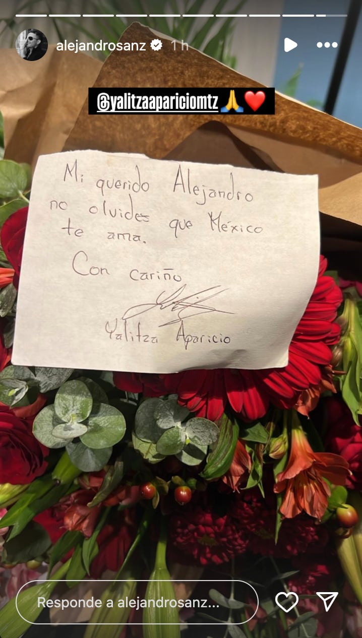 Yalitza Aparicio fue al concierto de Alejandro Sanz "junto al amor de su vida"