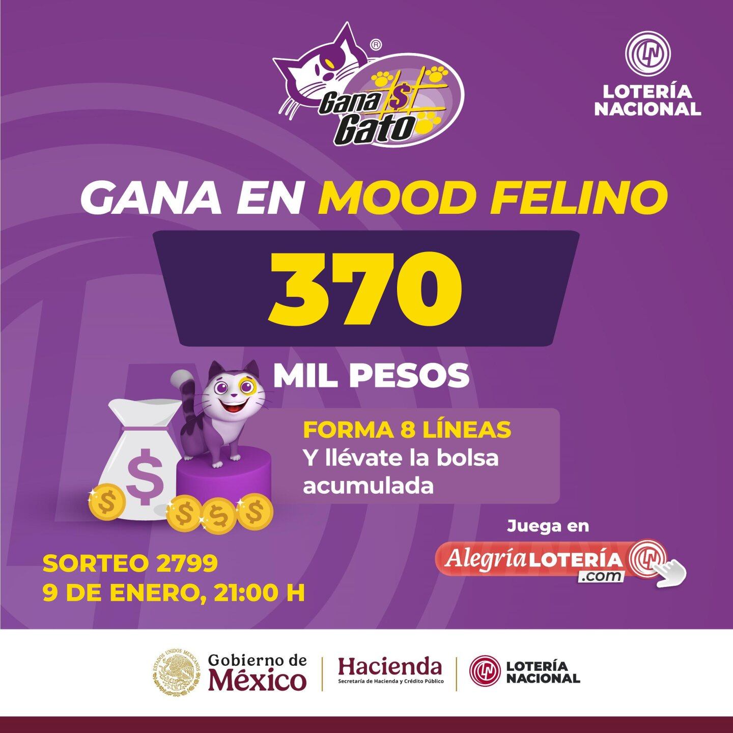 Resultados Sorteo Gana Gato 2799 de Lotería Nacional: Estos son los números ganadores