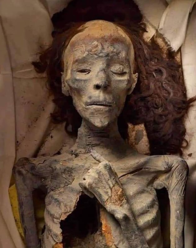 Momia de la reina Tiy, abuela de Tutankámon