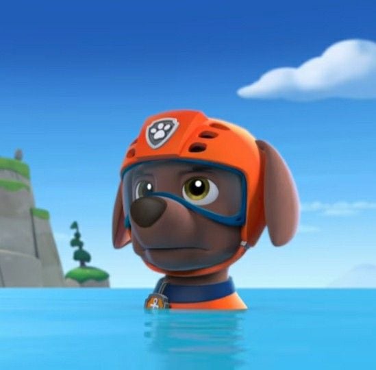 Zuma de Paw Patrol
