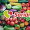 Martes y Miércoles del Campo Soriana 4 y 5 de febrero 2025: Las mejores ofertas