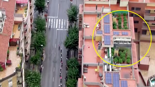 Plantación de marihuana