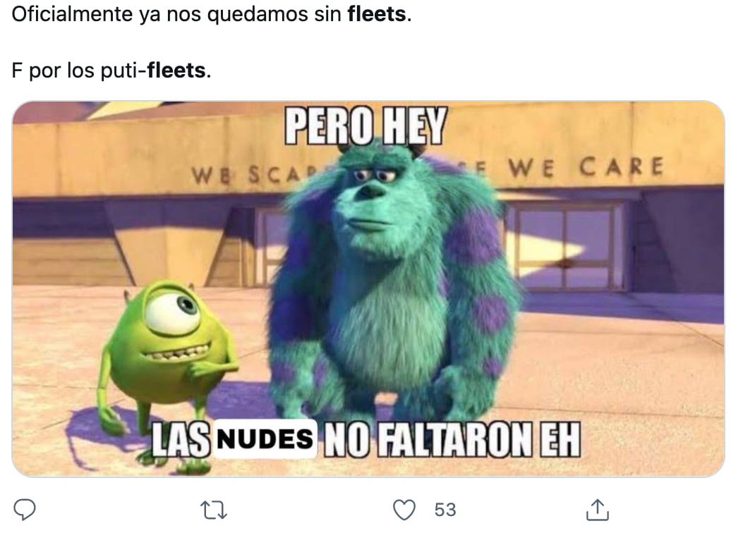 Meme de los Fleets
