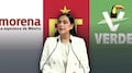 “Estamos muy bien”: Montiel sobre alianza Morena-PT-Verde