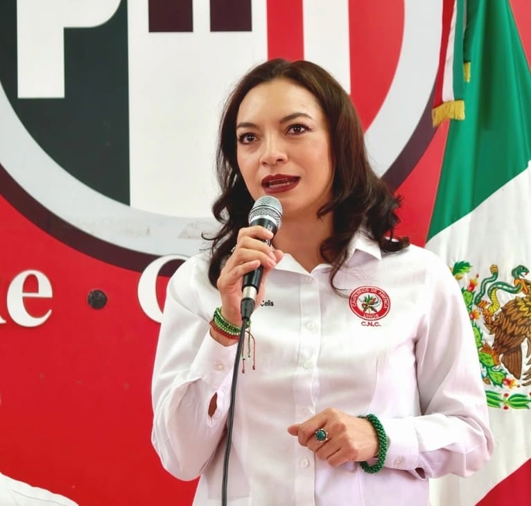 Mely Romero Celis: Trayectoria, estudios y su labor en el Senado este 2026.