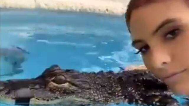 Lele Pons y cocodrilo