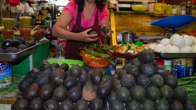Aguacate. Explicaciones sobre el precio.