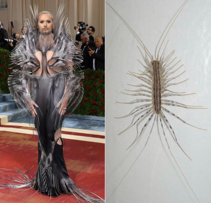 Meme de Jared Leto en MET Gala 2022